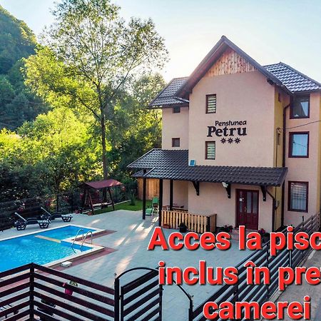 Pensiunea Petru Sugag Ngoại thất bức ảnh