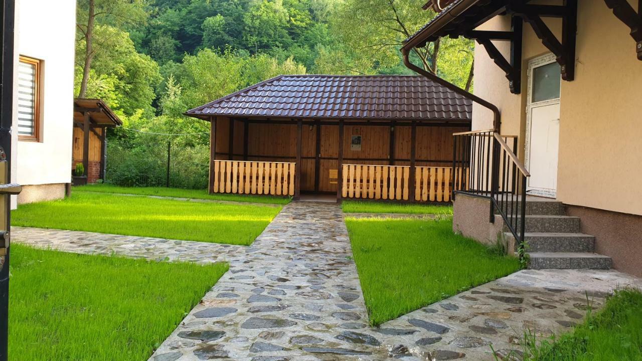 Pensiunea Petru Sugag Ngoại thất bức ảnh
